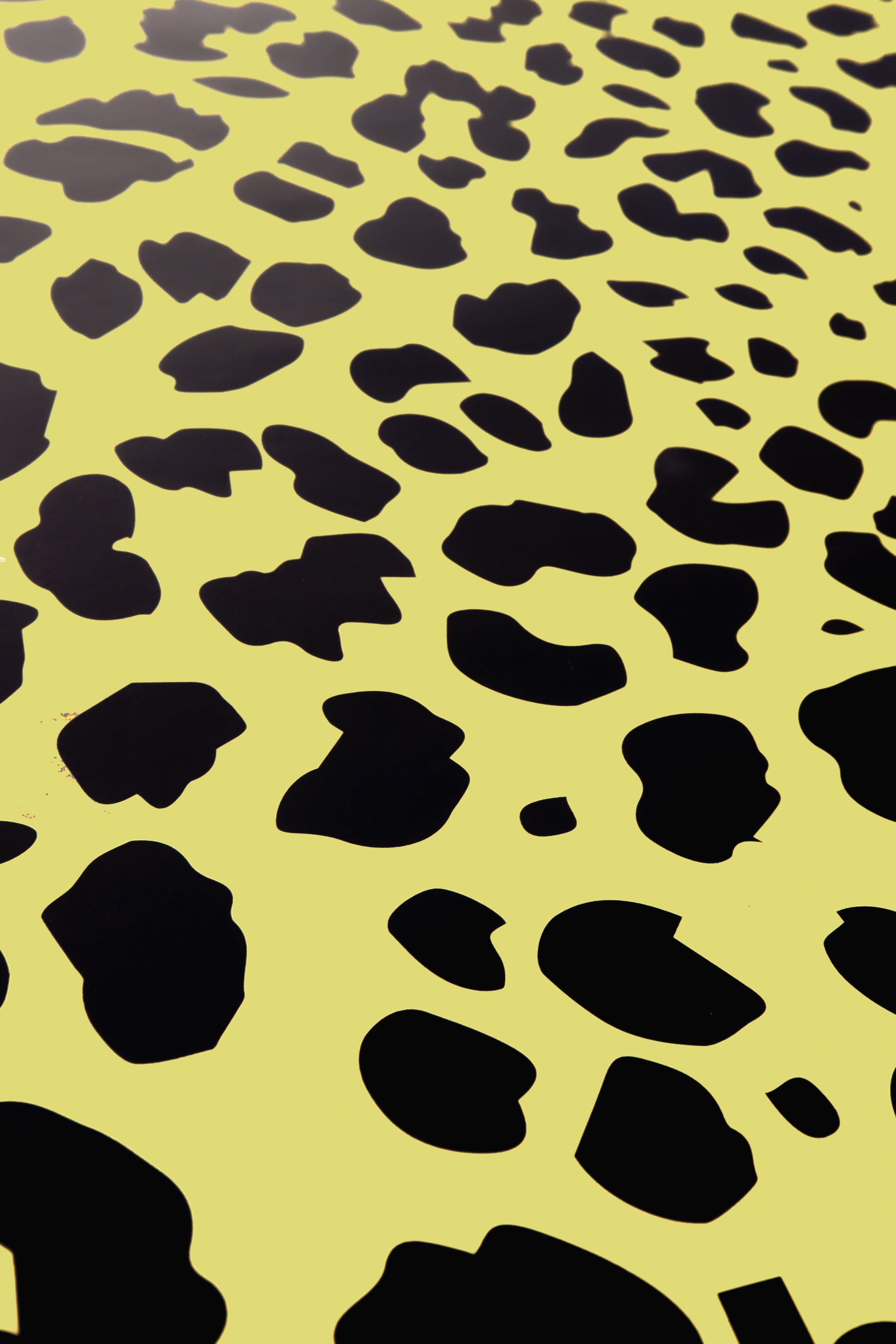 Leopard Print Yoga Mat - Brogi Yoga